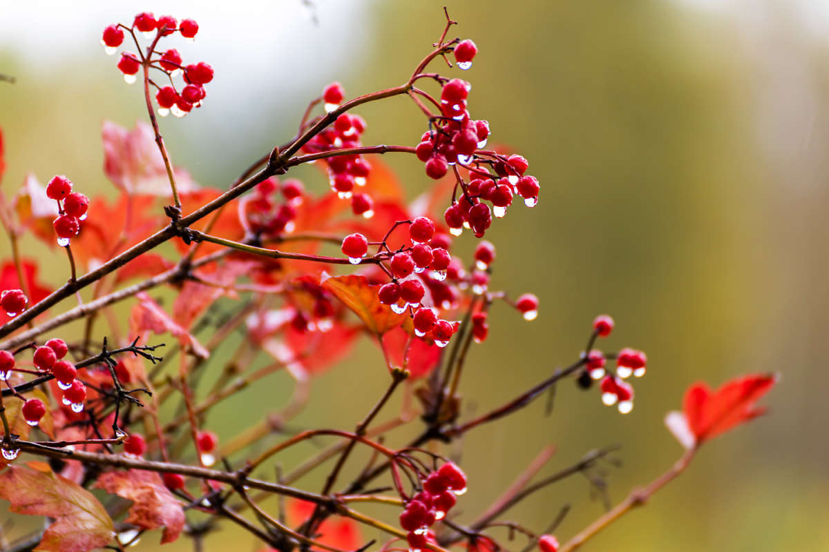 ������ ����� ���������  �� PhotoGeek.ru #������ ��� �������