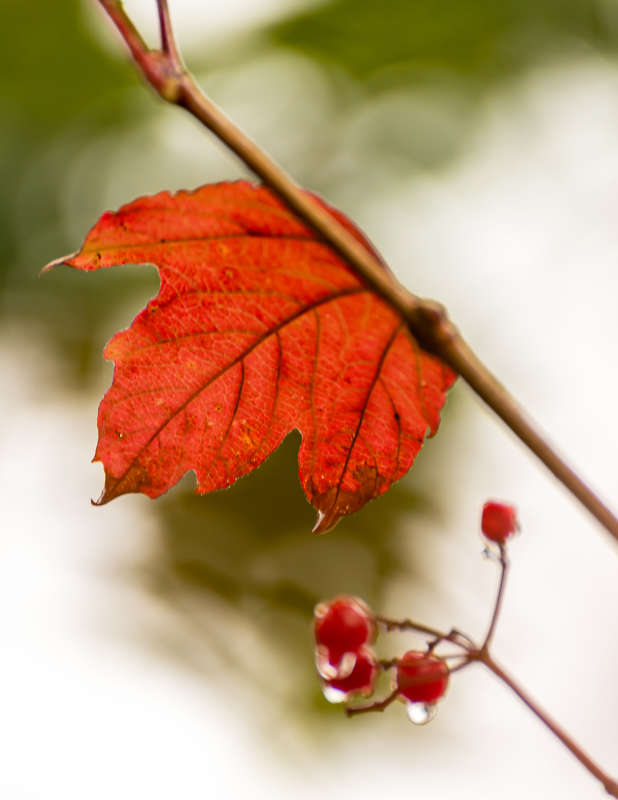 ���� ������ ����� ���������  �� PhotoGeek.ru #������ ��� �������
