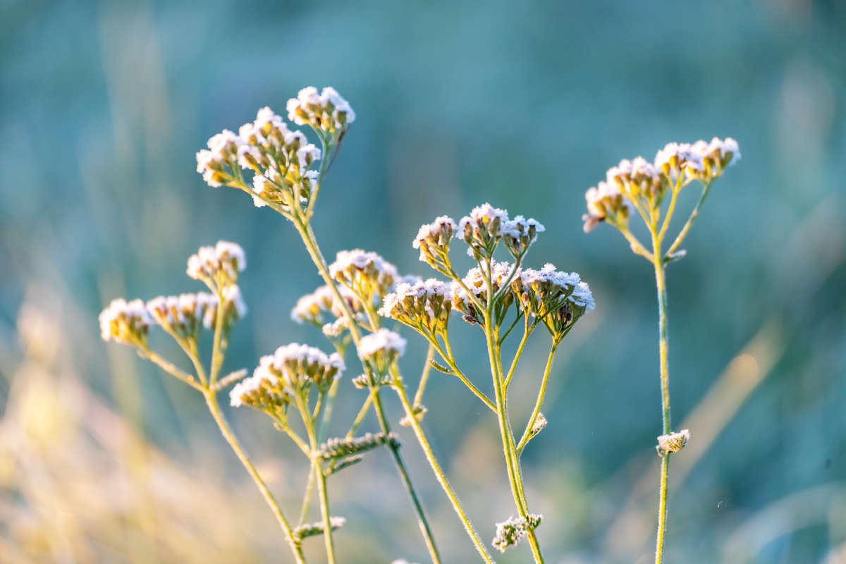 ���� ����� ���������  �� PhotoGeek.ru #������ ��� �������