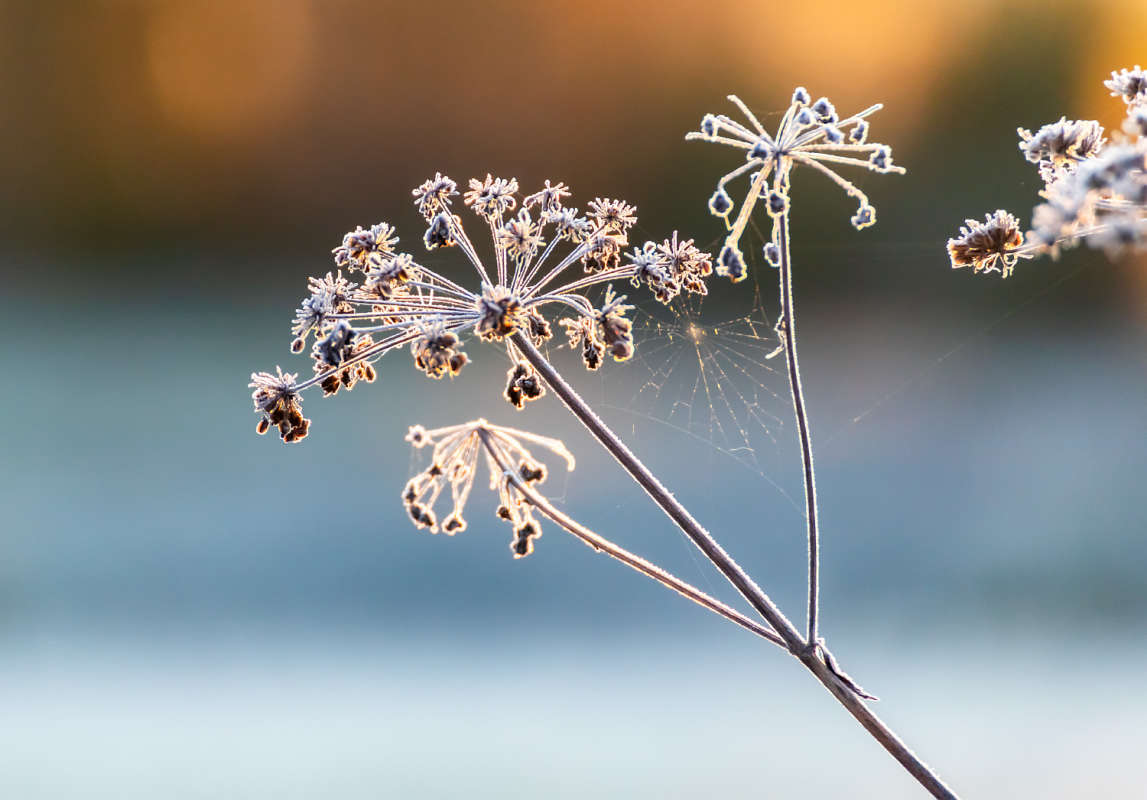 �������� ���� ����� ���������  �� PhotoGeek.ru #������ ��� �������