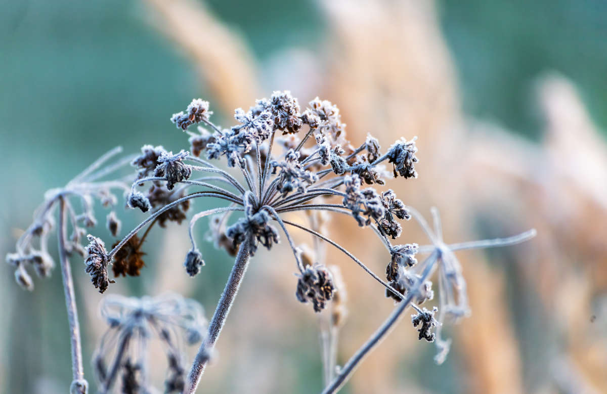 ����� ����� ���������  �� PhotoGeek.ru #������ ��� �������