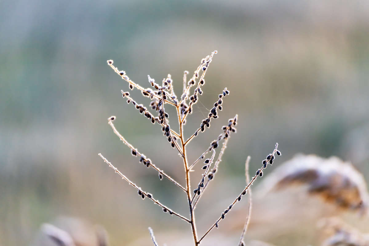 ������� ����� ���������  �� PhotoGeek.ru #������ ��� �������