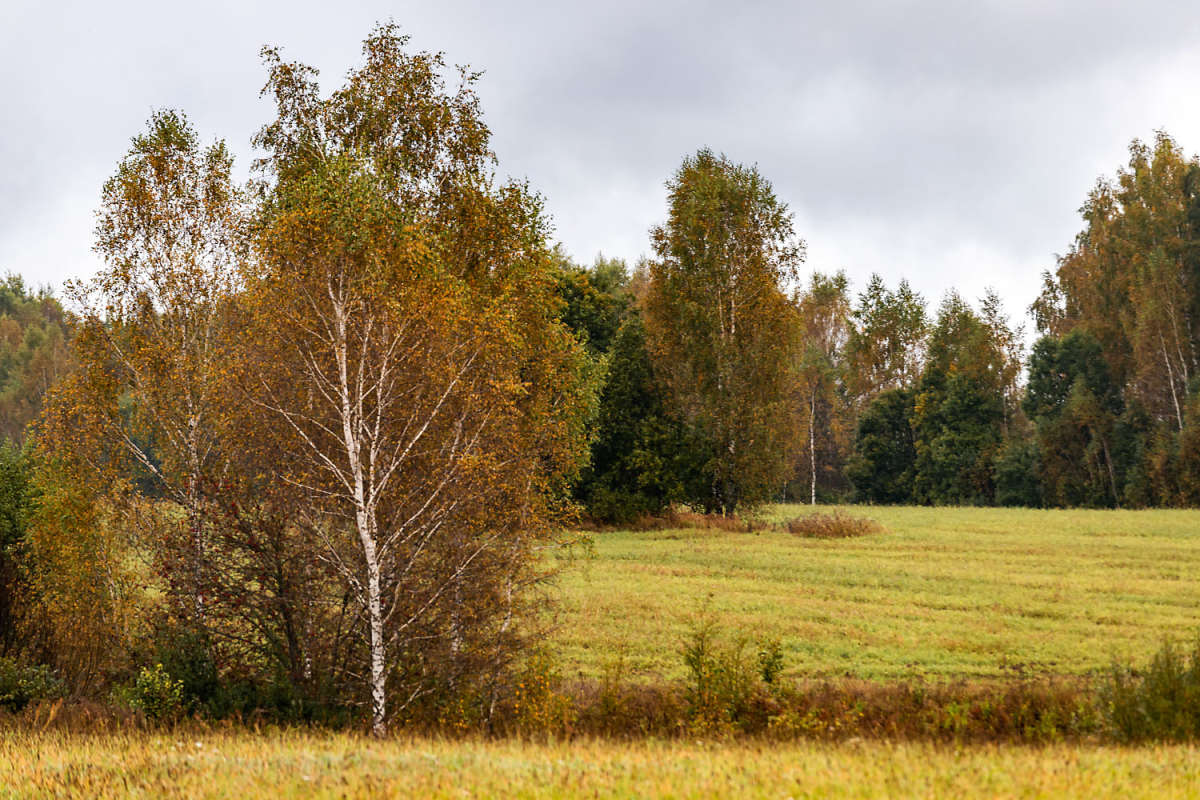����� ����� ���������  �� PhotoGeek.ru #������ ��� �������