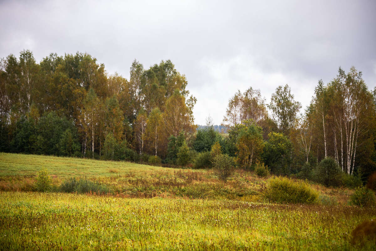 � ����� ����� ���������  �� PhotoGeek.ru #������ ��� �������