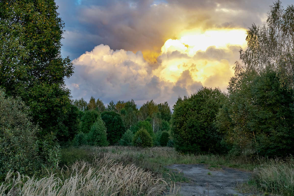 ����� ����� ���������  �� PhotoGeek.ru #������ ��� �������