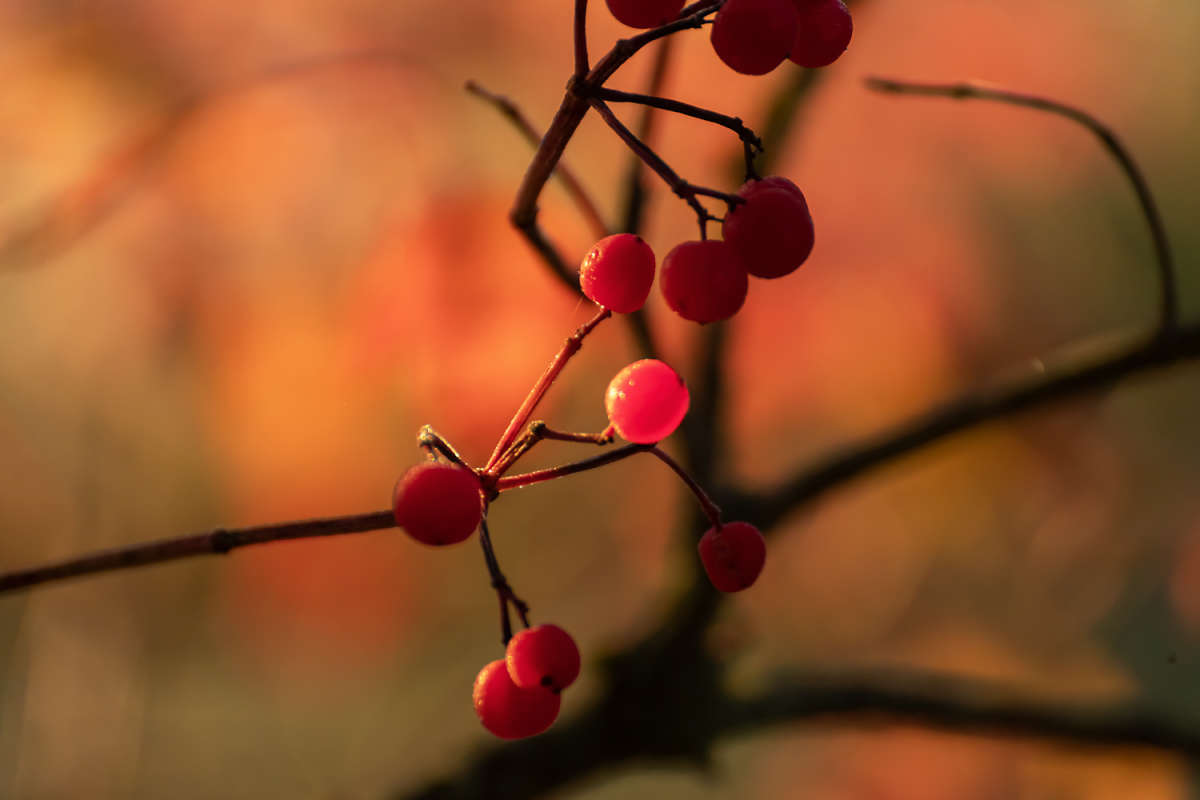 ������ ����� ���������  �� PhotoGeek.ru #������ ��� �������
