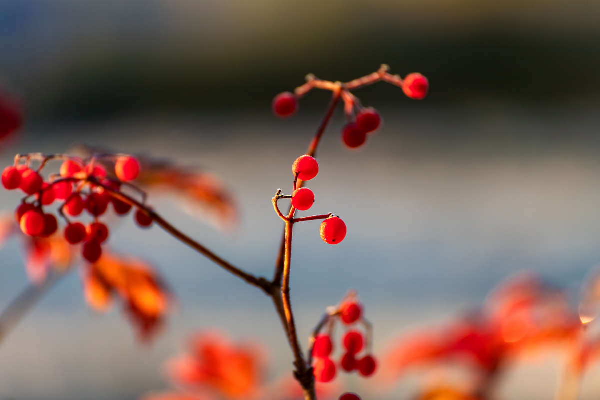 ����� ����� ���������  �� PhotoGeek.ru #������ ��� �������