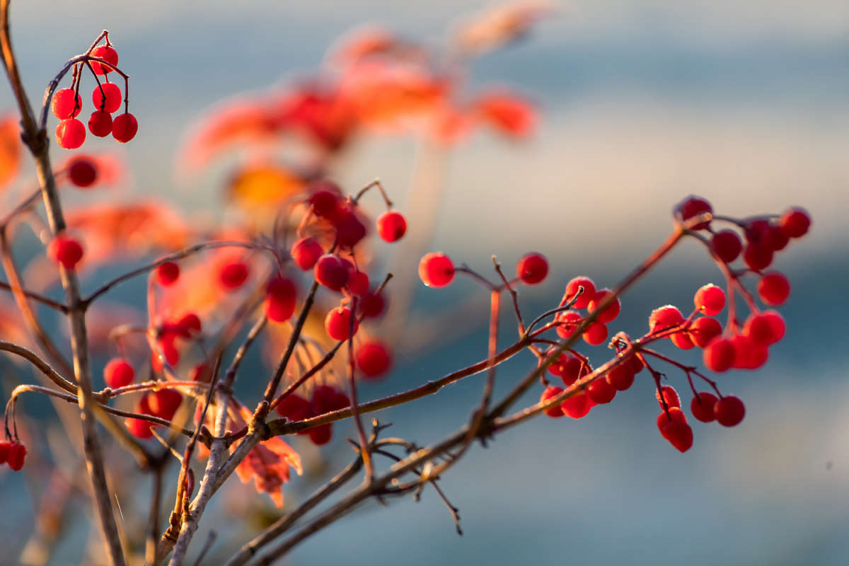 �������� ���� ����� ���������  �� PhotoGeek.ru #������ ��� �������