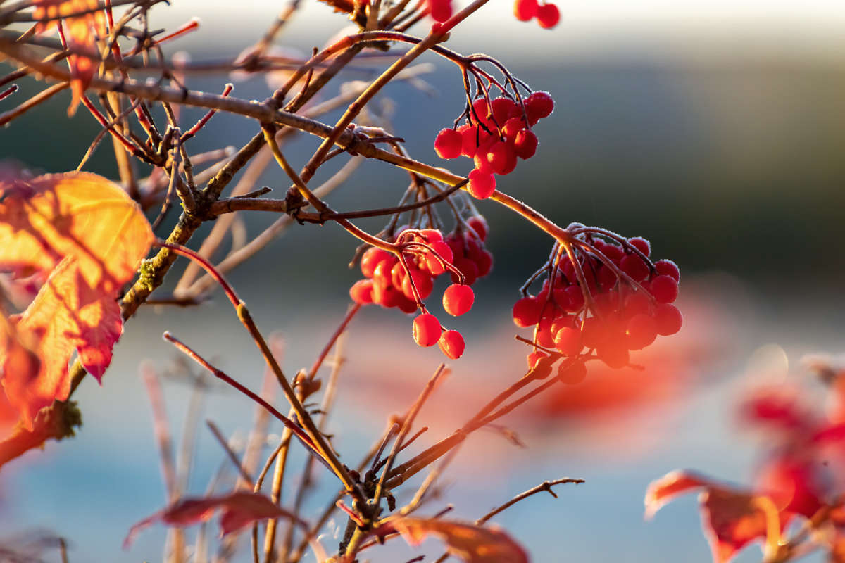 ����.��������� ����� ���������  �� PhotoGeek.ru #������ ��� �������
