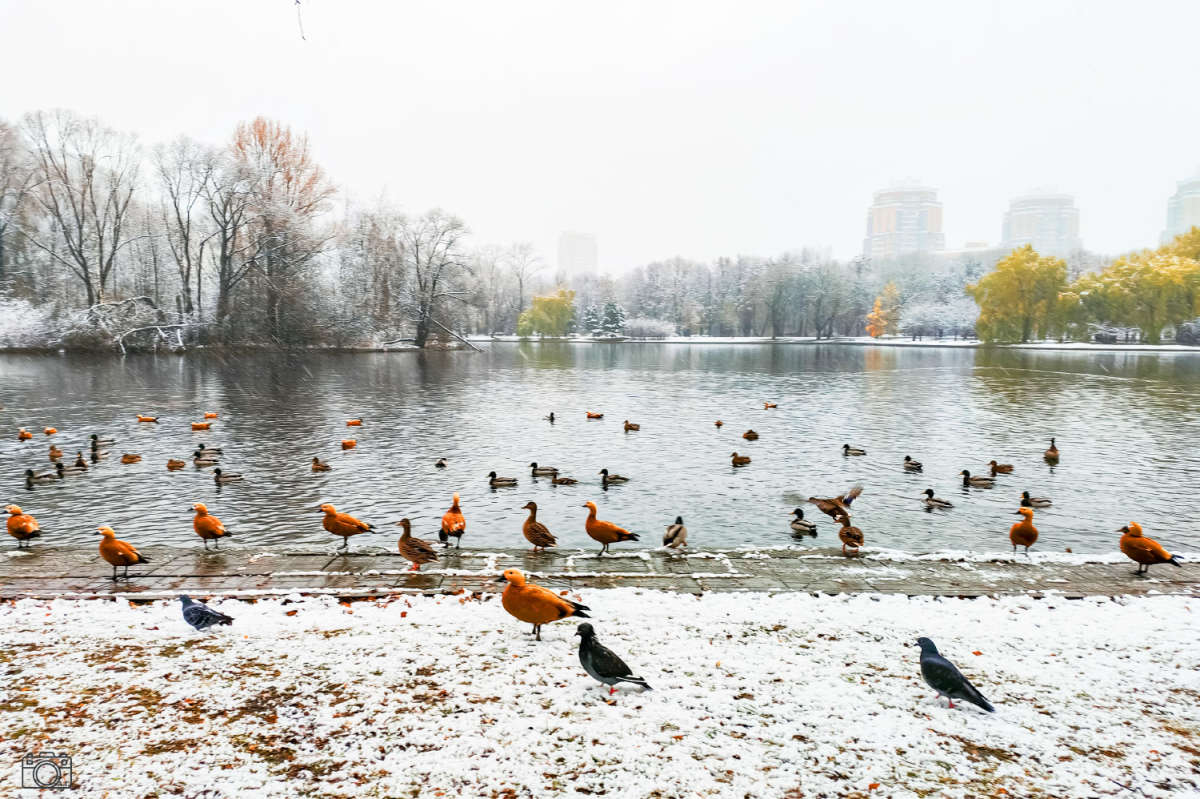 ������ ����� ����� ���������  �� PhotoGeek.ru #������ ��� �������