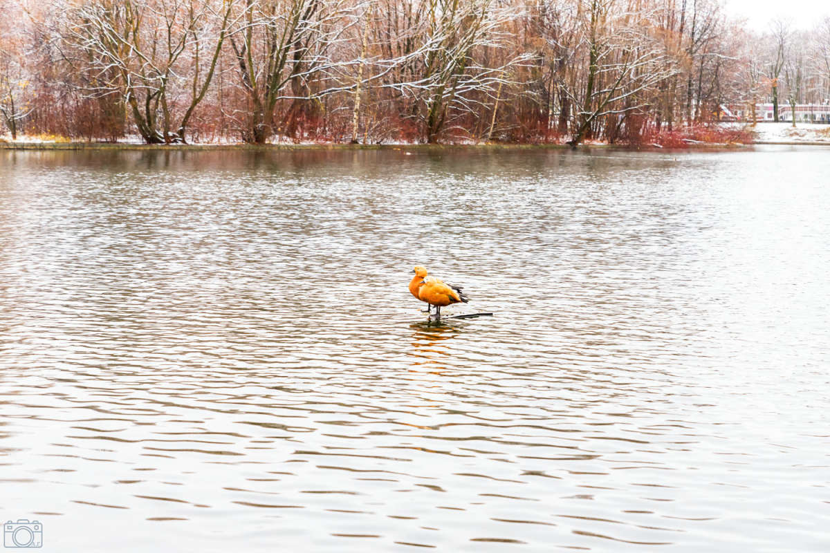 ������� ����� ���������  �� PhotoGeek.ru #�������� ��� #�������� ����������