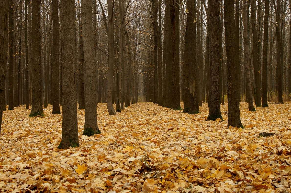 ... ����� ������� � �� PhotoGeek.ru #������ ��� �������