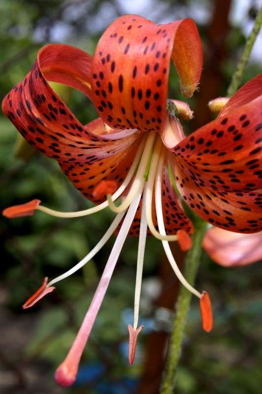 ... ����� ������� � �� PhotoGeek.ru #����� #�����