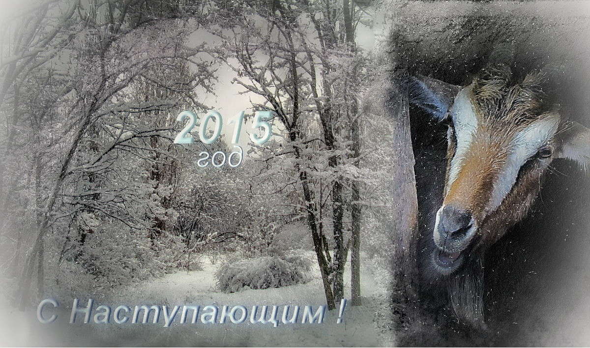 � ����� �����! ����� ������ ���� �� PhotoGeek.ru #�������� ����������