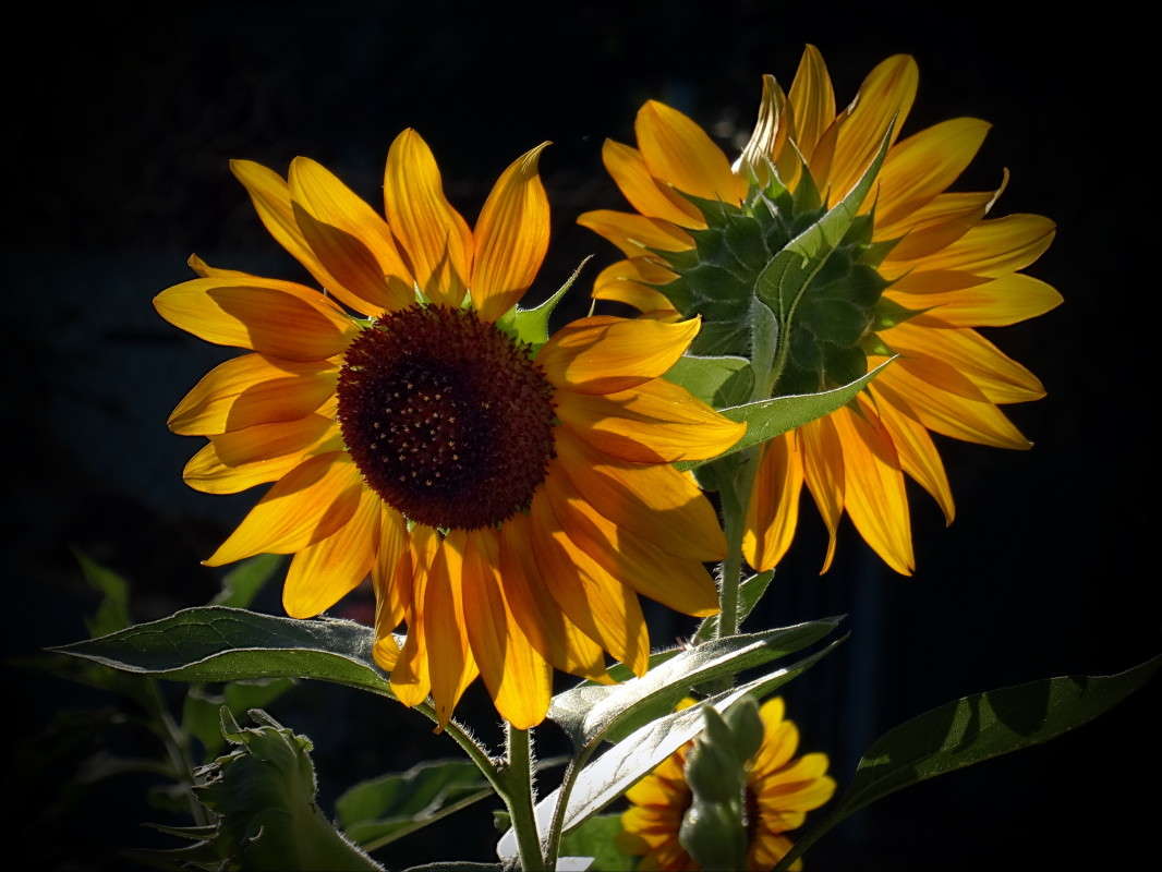 ���������� ����� ������ ���� �� PhotoGeek.ru #������ ��� �������