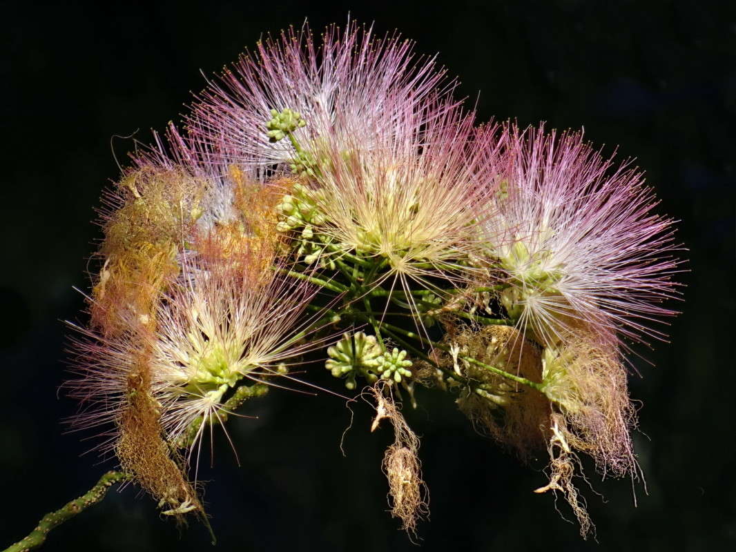 �������� � ������� ����� ������ ���� �� PhotoGeek.ru #������ ��� �������