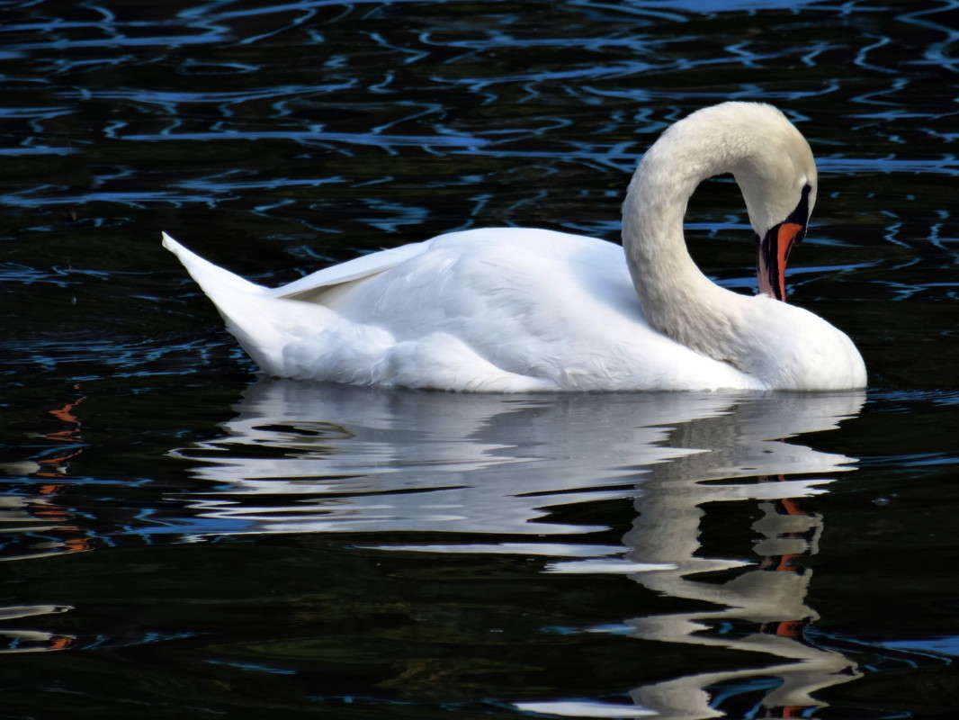 � ����� ������ �� ����� ������ ������ �����... ����� ������ ���� �� PhotoGeek.ru #�������� ���