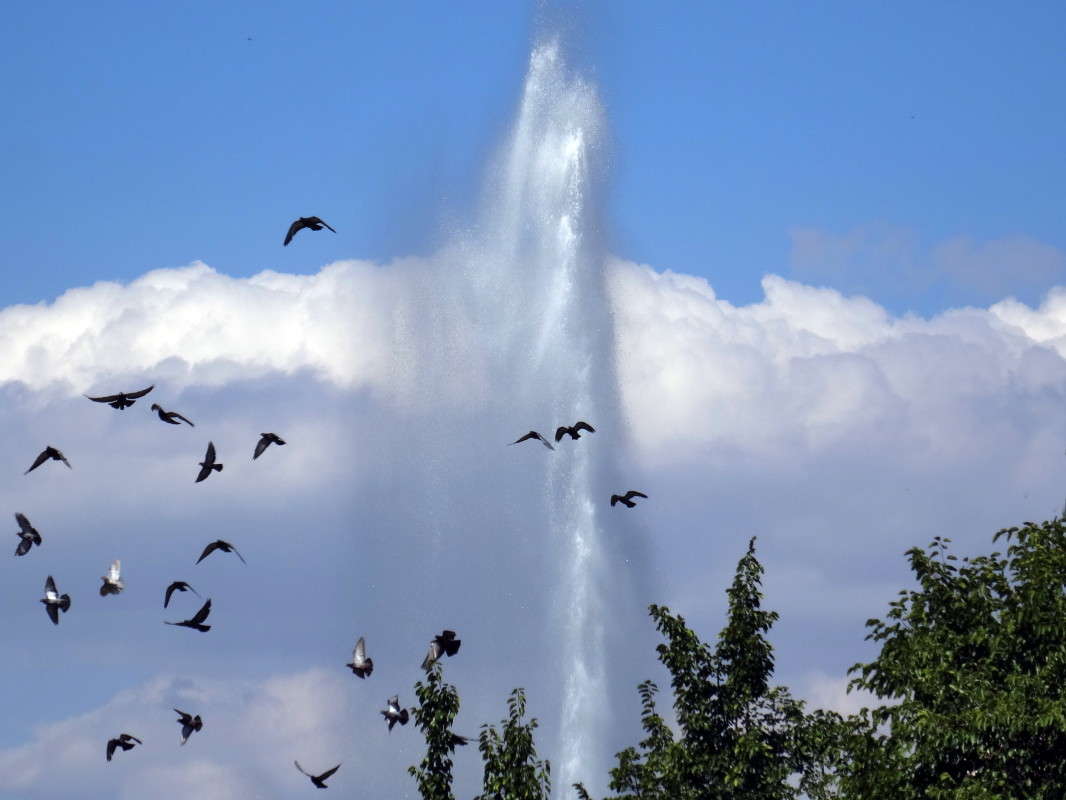 ������ � ������ ����� ������ ���� �� PhotoGeek.ru #������ ��� �������