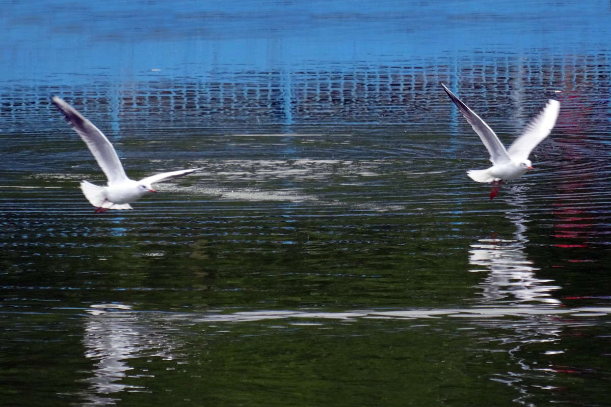 ����� ����� ������ ���� �� PhotoGeek.ru #�������� ���