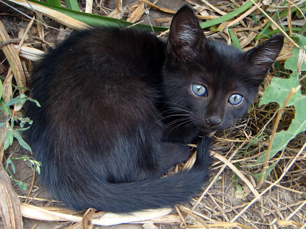 ������������ ������� ����� ������ ���� �� PhotoGeek.ru #�������� ���