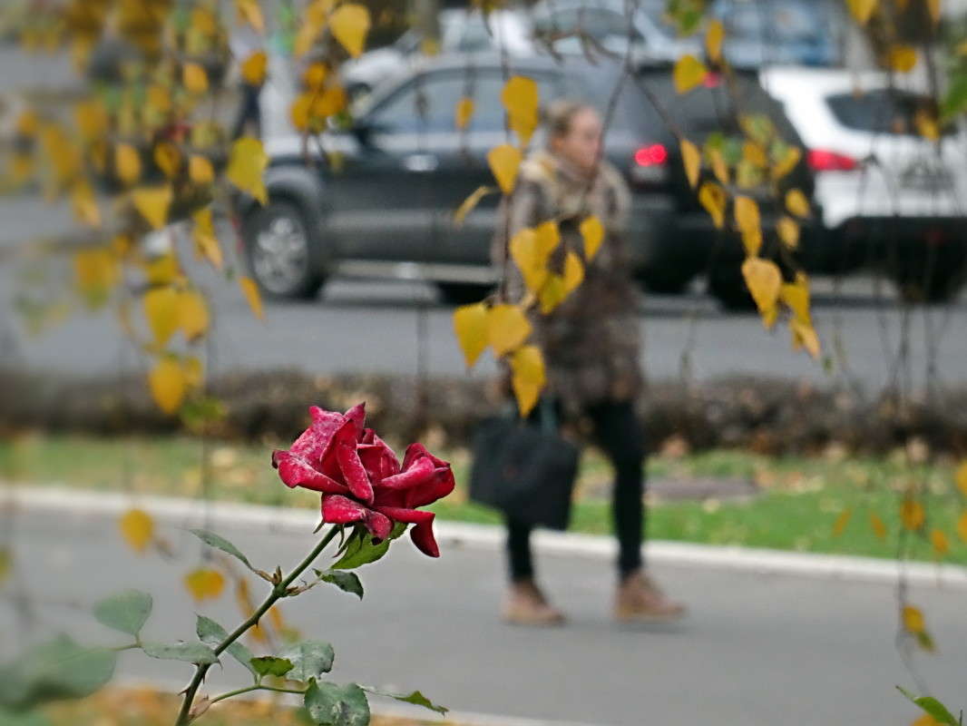 ������� ���� ����� ������ ���� �� PhotoGeek.ru #�������� ����������