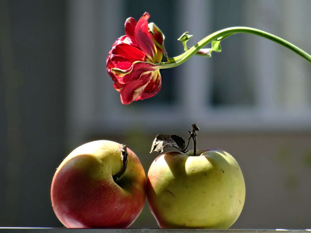 ������ ����� ������ ���� �� PhotoGeek.ru #���������