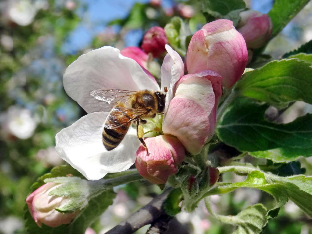 �������� ��� ����� ������ ���� �� PhotoGeek.ru #�����