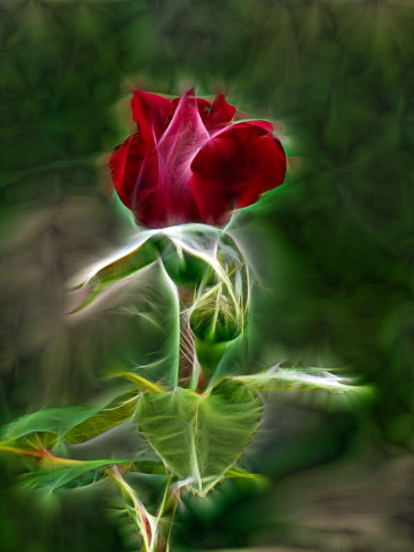 ���� ����� ������ ���� �� PhotoGeek.ru #�������� ����������