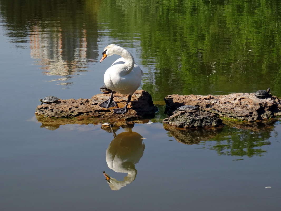 ������ ����� ������ ���� �� PhotoGeek.ru #�������� ���