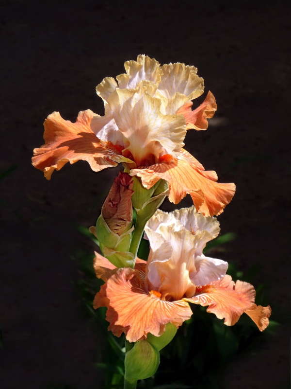 ��������� ����� ����� ������ ���� �� PhotoGeek.ru #������ ��� �������