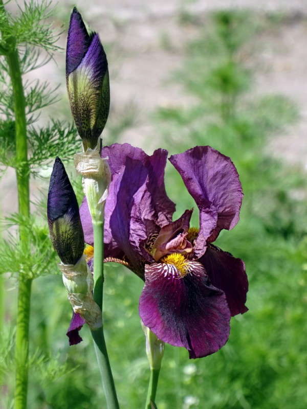 ���� ����� ������ ���� �� PhotoGeek.ru #������ ��� �������