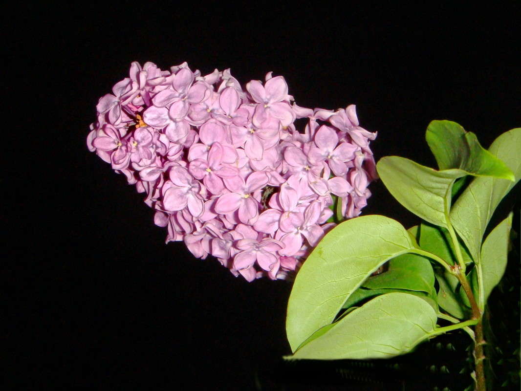 ����� ������ ����� ������ ���� �� PhotoGeek.ru #������ ��� �������