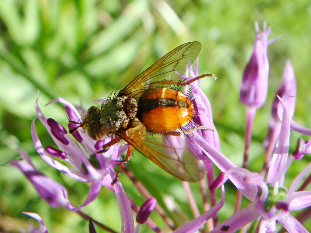 ���-�� �� ������ ������������� ���� ����� ������ ���� �� PhotoGeek.ru #�����