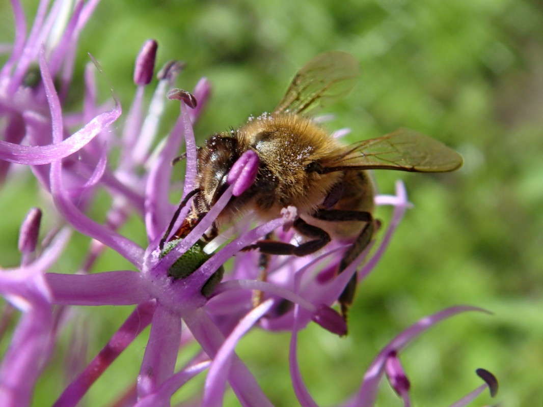 ����� �� ������� ����� ������ ���� �� PhotoGeek.ru #�����