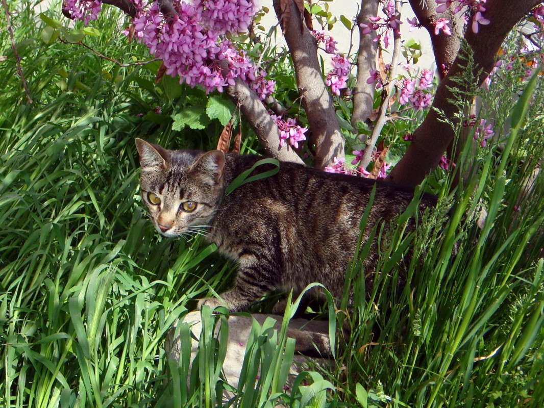 ������� �������� ����� ������ ���� �� PhotoGeek.ru #�������� ���