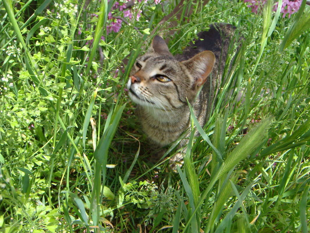 ����� ��� �������! ����� ������ ���� �� PhotoGeek.ru #�������� ���