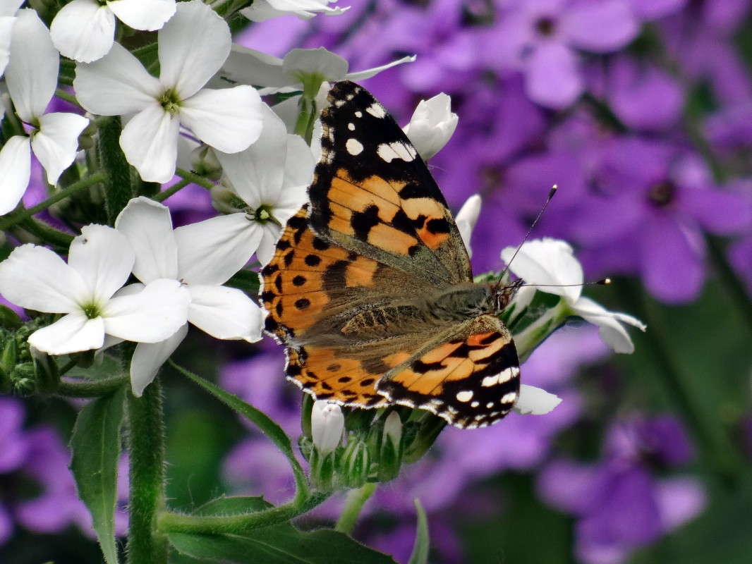 ����� ��� ����� ������ ���� �� PhotoGeek.ru #�����