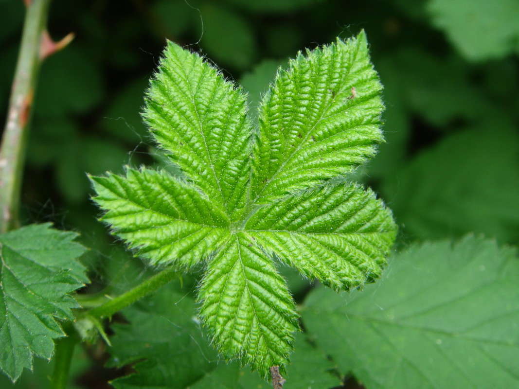 ������� ������� ����� ������ ���� �� PhotoGeek.ru #�����