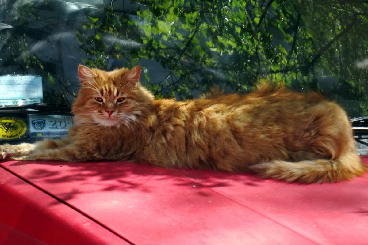 ��������� ��� ����� ������ ���� �� PhotoGeek.ru #�������� ���