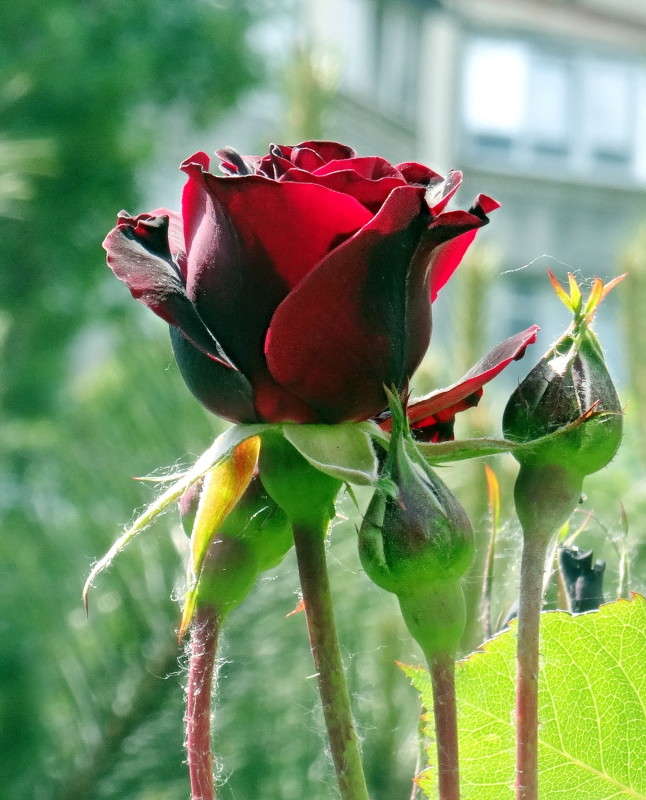 ��� ����� ����� ������ ���� �� PhotoGeek.ru #������ ��� �������