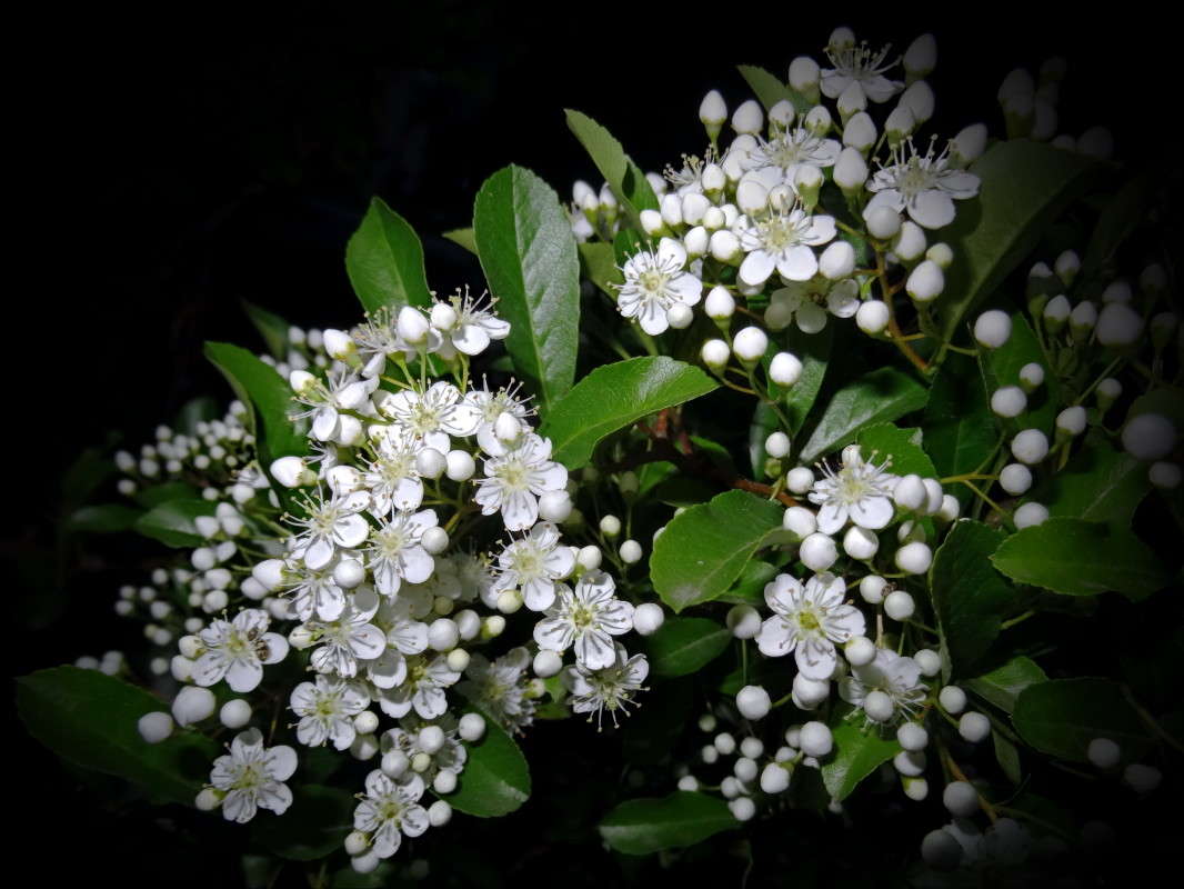 �������� ���� ����� ������ ���� �� PhotoGeek.ru #������ ��� �������