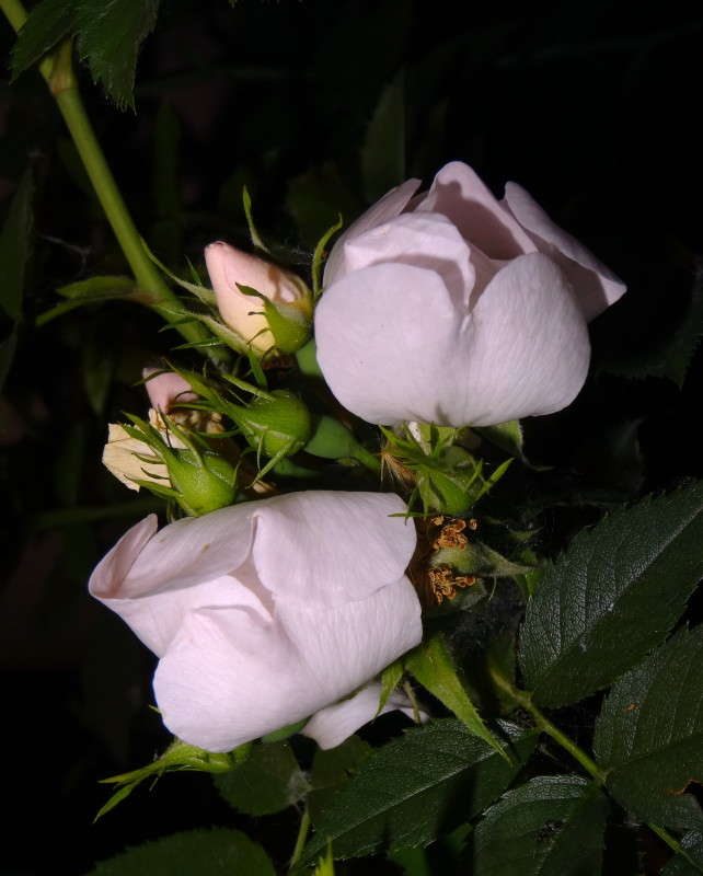 ������ � ���� ����� ������ ���� �� PhotoGeek.ru #������ ��� �������