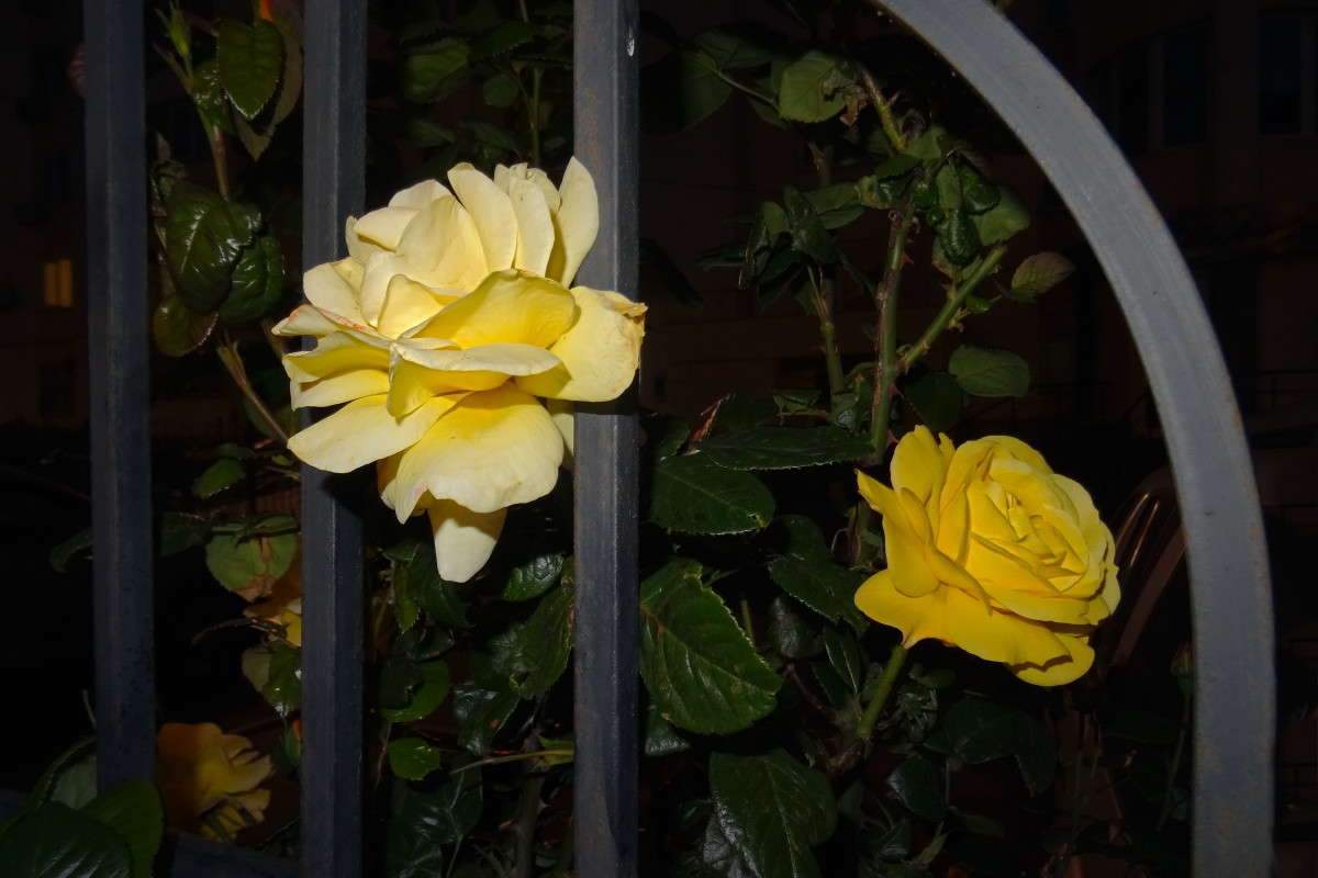 ������ ����� ������ ���� �� PhotoGeek.ru #������ ��� �������