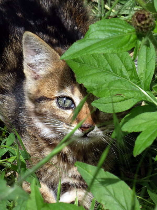 ��� ��������� ����� ������ ���� �� PhotoGeek.ru #�������� ���