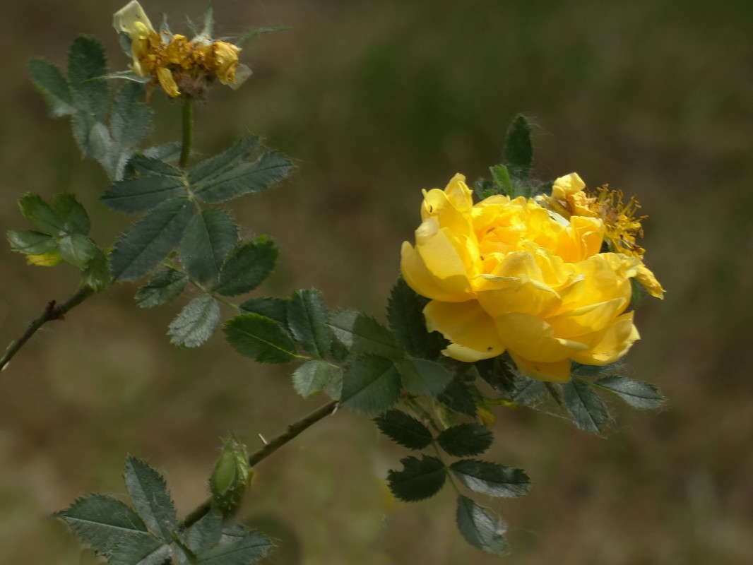 �� ����� ����� ������ ���� �� PhotoGeek.ru #������ ��� �������