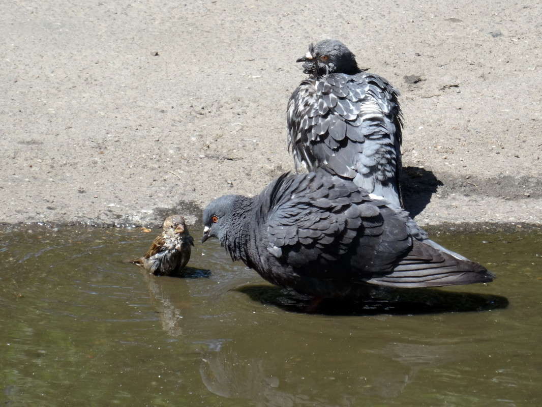 ��� �� ��������? ����� ������ ���� �� PhotoGeek.ru #�������� ���