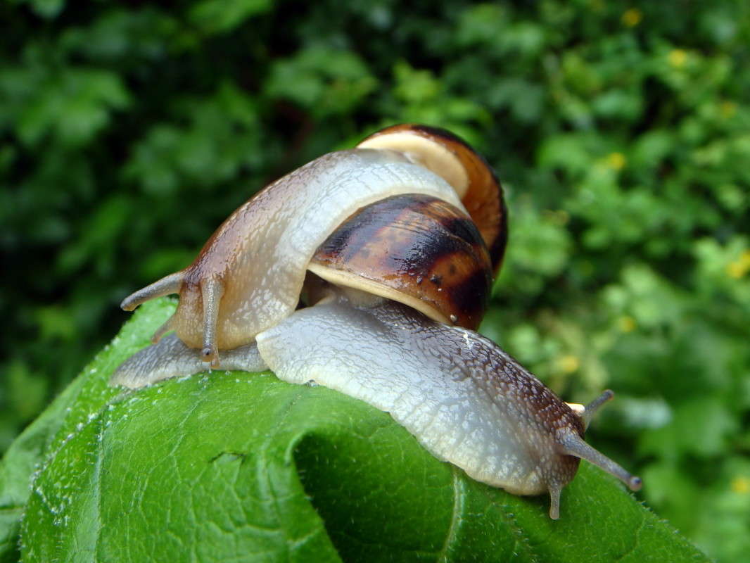 ��������� ���� - ������... ����� ������ ���� �� PhotoGeek.ru #�������� ���