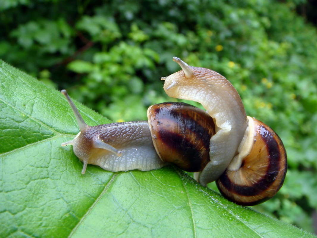 ����� ������� ����� ������ ���� �� PhotoGeek.ru #�������� ���