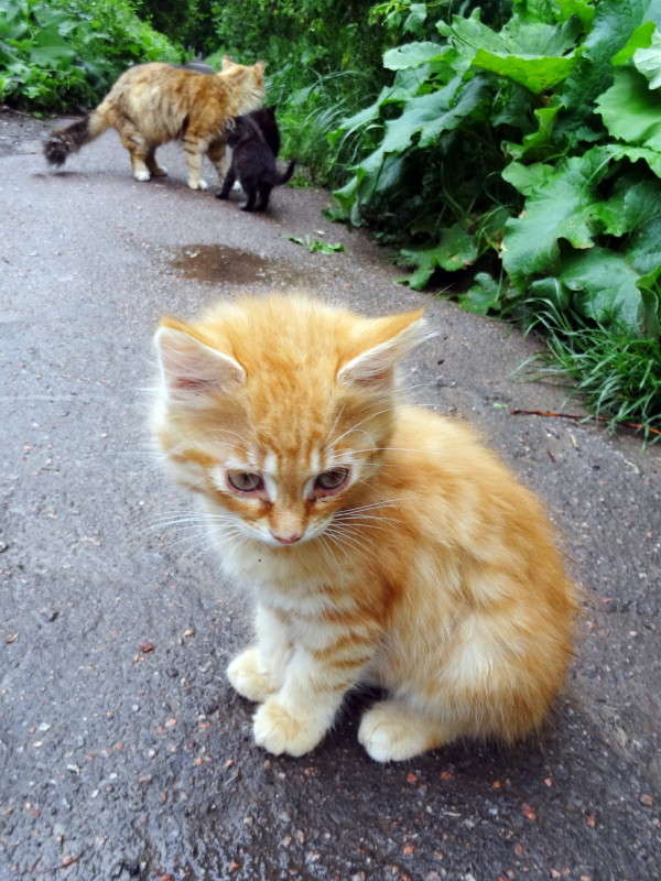 ����� ����� ������ ���� �� PhotoGeek.ru #�������� ���