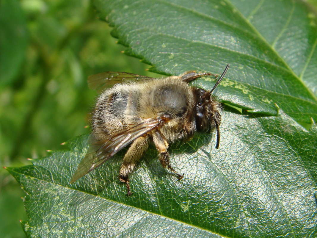 ����� ����� ������ ���� �� PhotoGeek.ru #�����